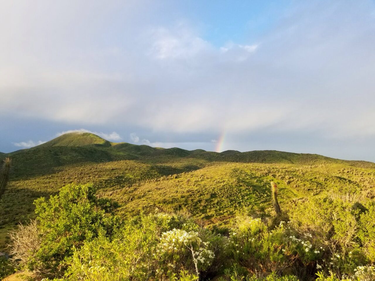 A rainbow shoots out from the hills in the distance.