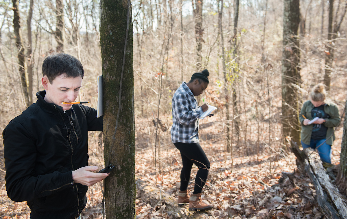 Dr. DeAnna Beasley's Ant Ecology class looks for insects Wednesday, January 24, 2018 on Guild Trail.