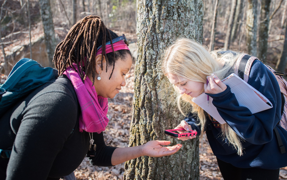 Dr. DeAnna Beasley's Ant Ecology class looks for insects Wednesday, January 24, 2018 on Guild Trail.