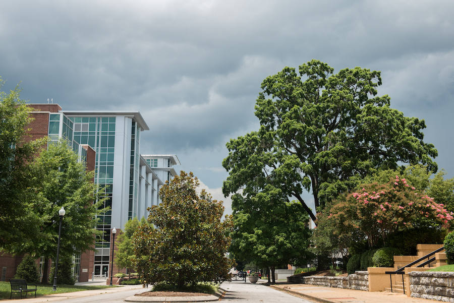 Vine St at UTC with trees, Library and stormy clouds in the background