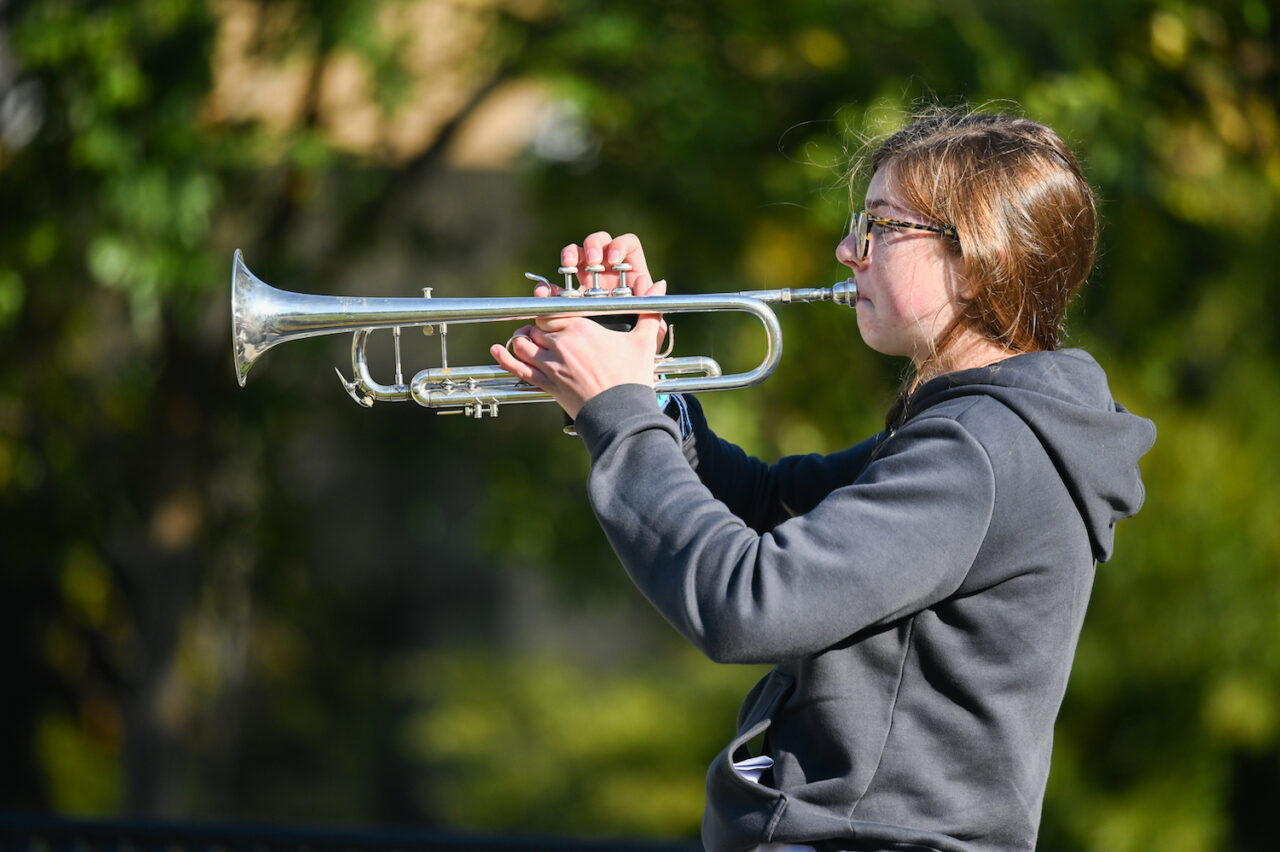 TAPS-19