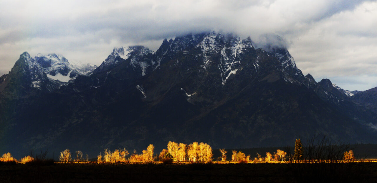 A large snow covered mountain sits behind trees being hit by golden sunlight, illuminated in the foreground.