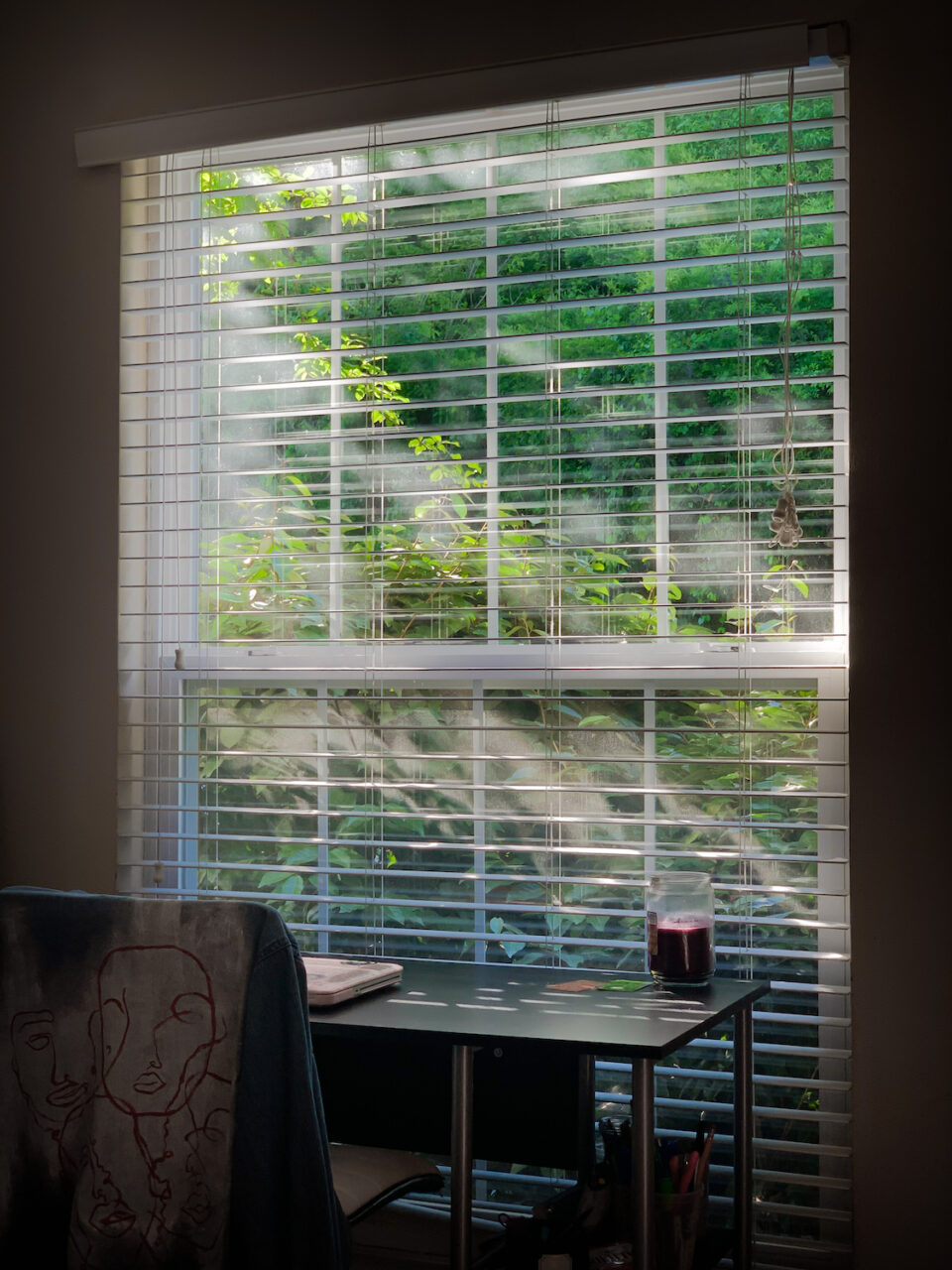 The view I've had from my apartment since shelter-in-place began.