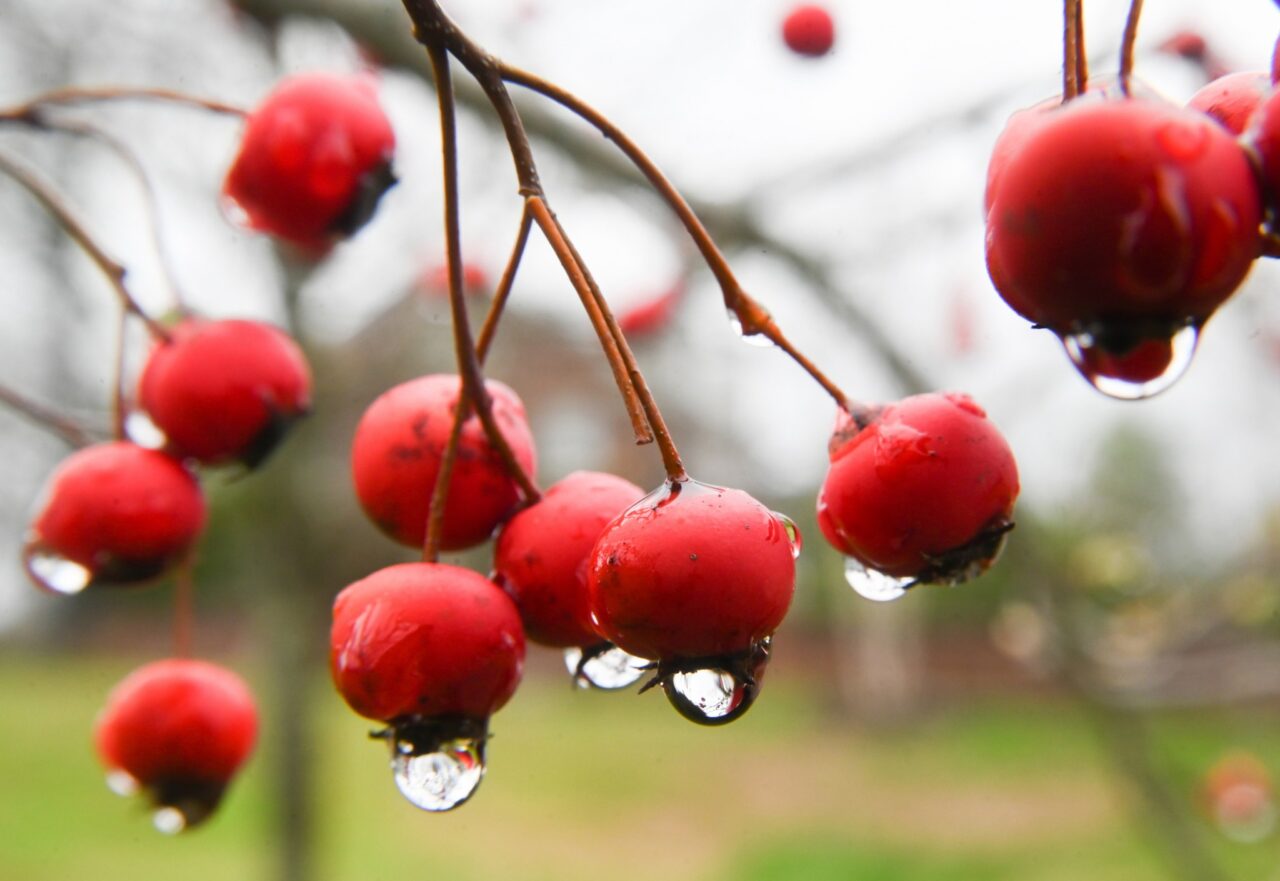 A rainy day in March.