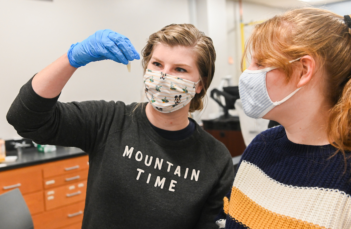 Genetics lab taught by Margaret J. Kovach.