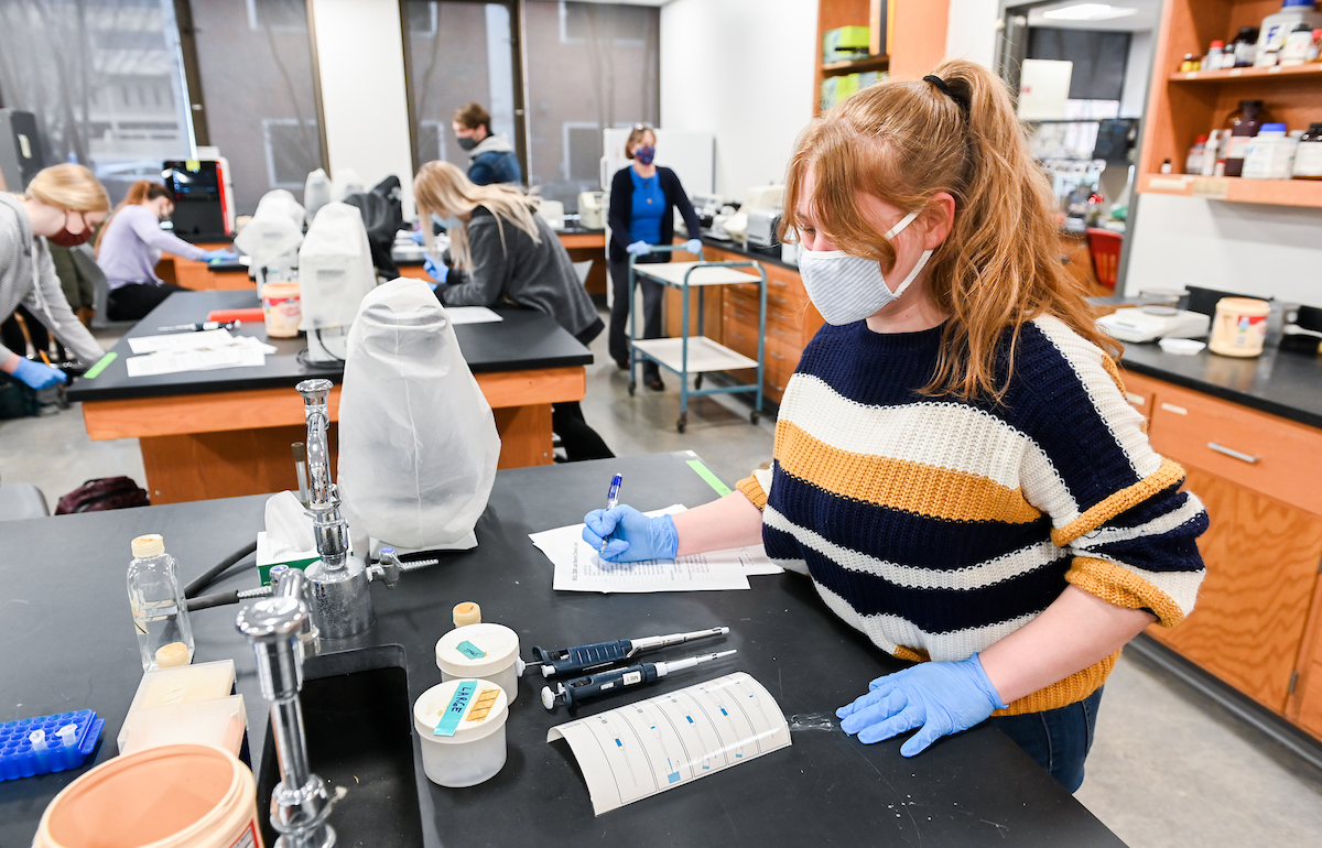 Genetics lab taught by Margaret J. Kovach.