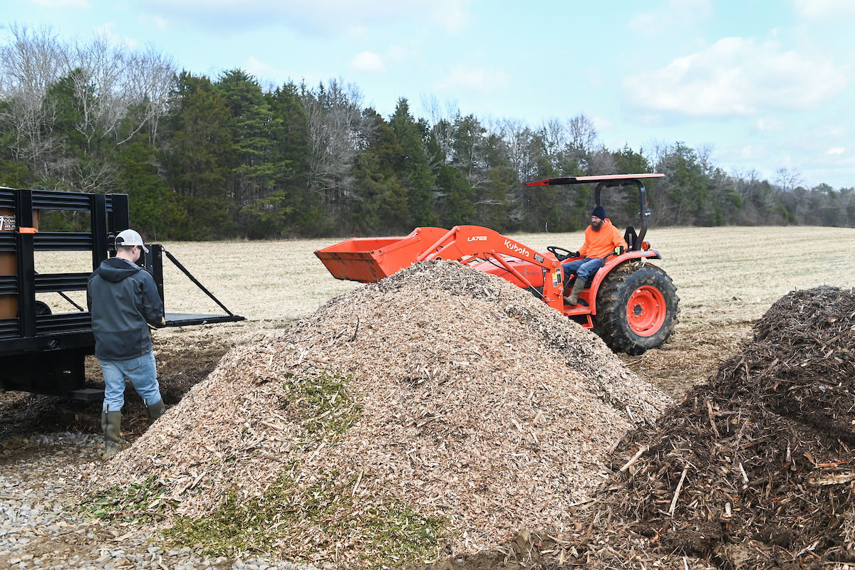A fresh pile of compost.