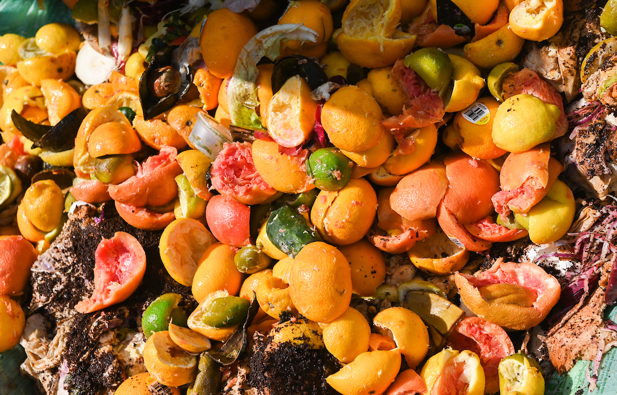 Food scraps from local restaurants.