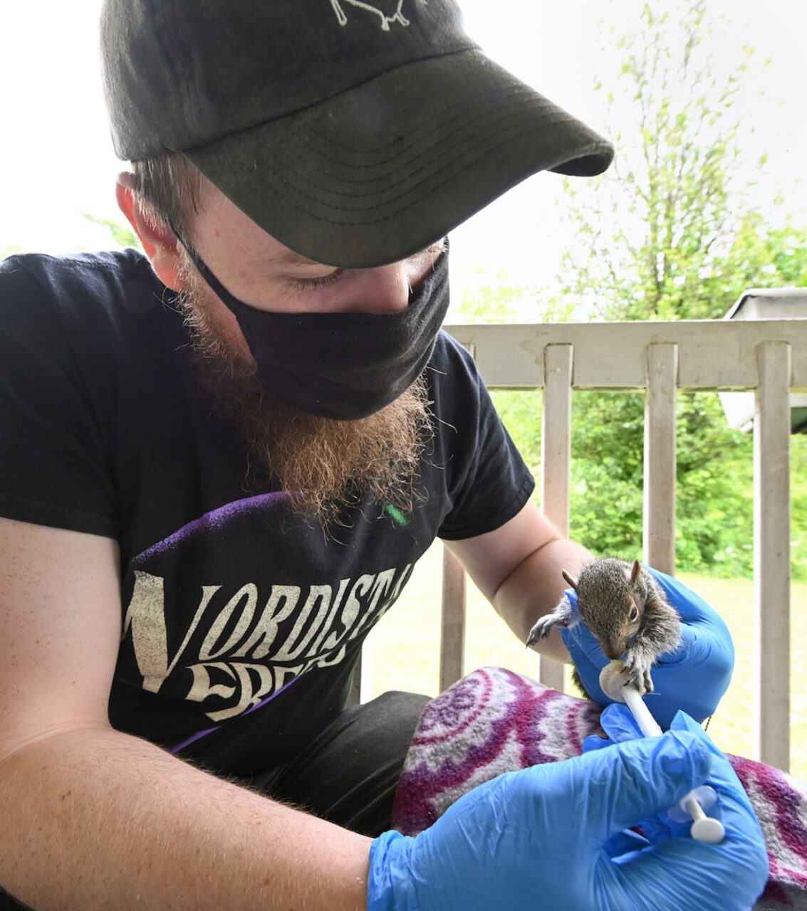 UTC student Luke Mainello feeds formula to a weeks-old squirrel.