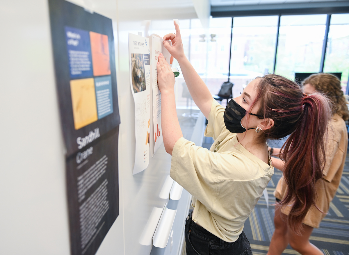 Students pin up their proposed signs.