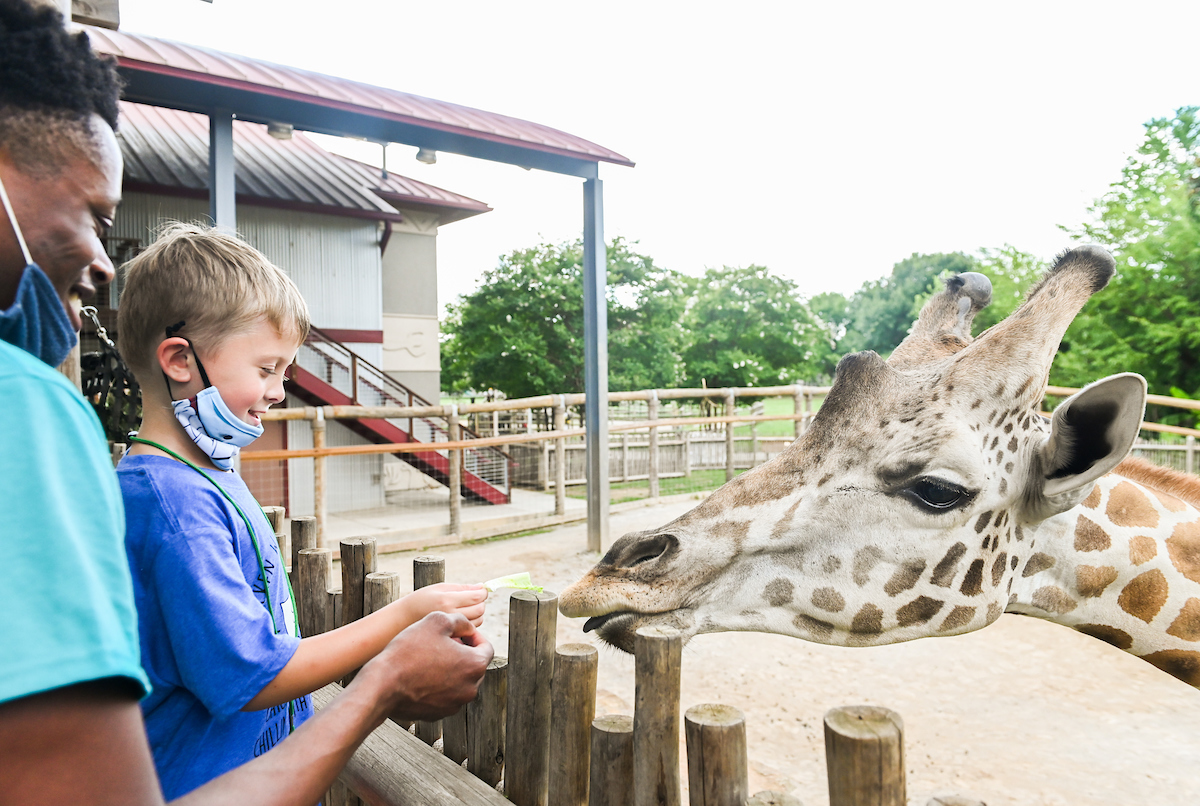 ZooAbility at the Chattanooga Zoo.