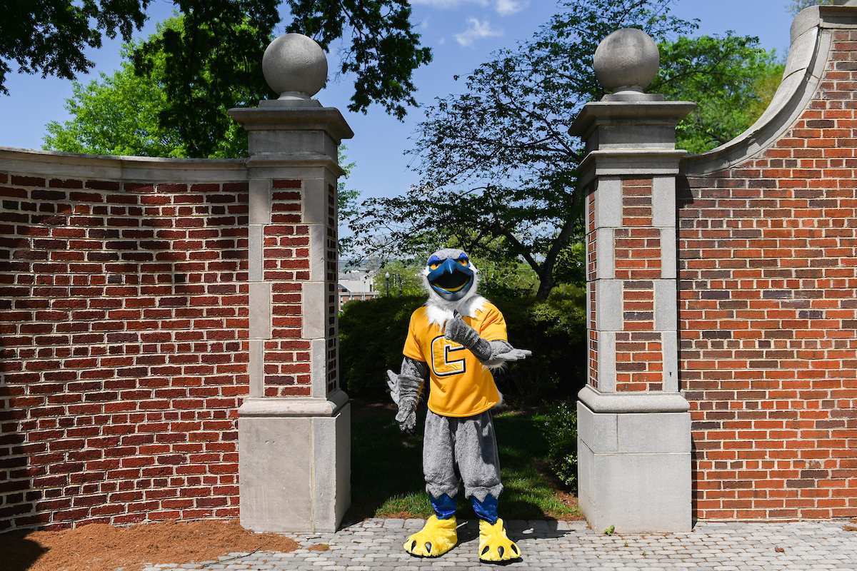 Scrappy standing between two red brick pillars.