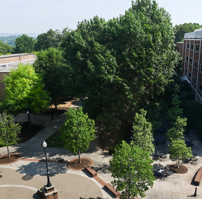 Aerial view of trees casting shadows on paved walkways on campus.