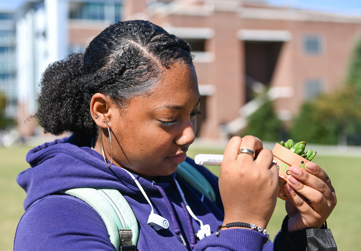 A student decorates a small potted succulent with a marker.
