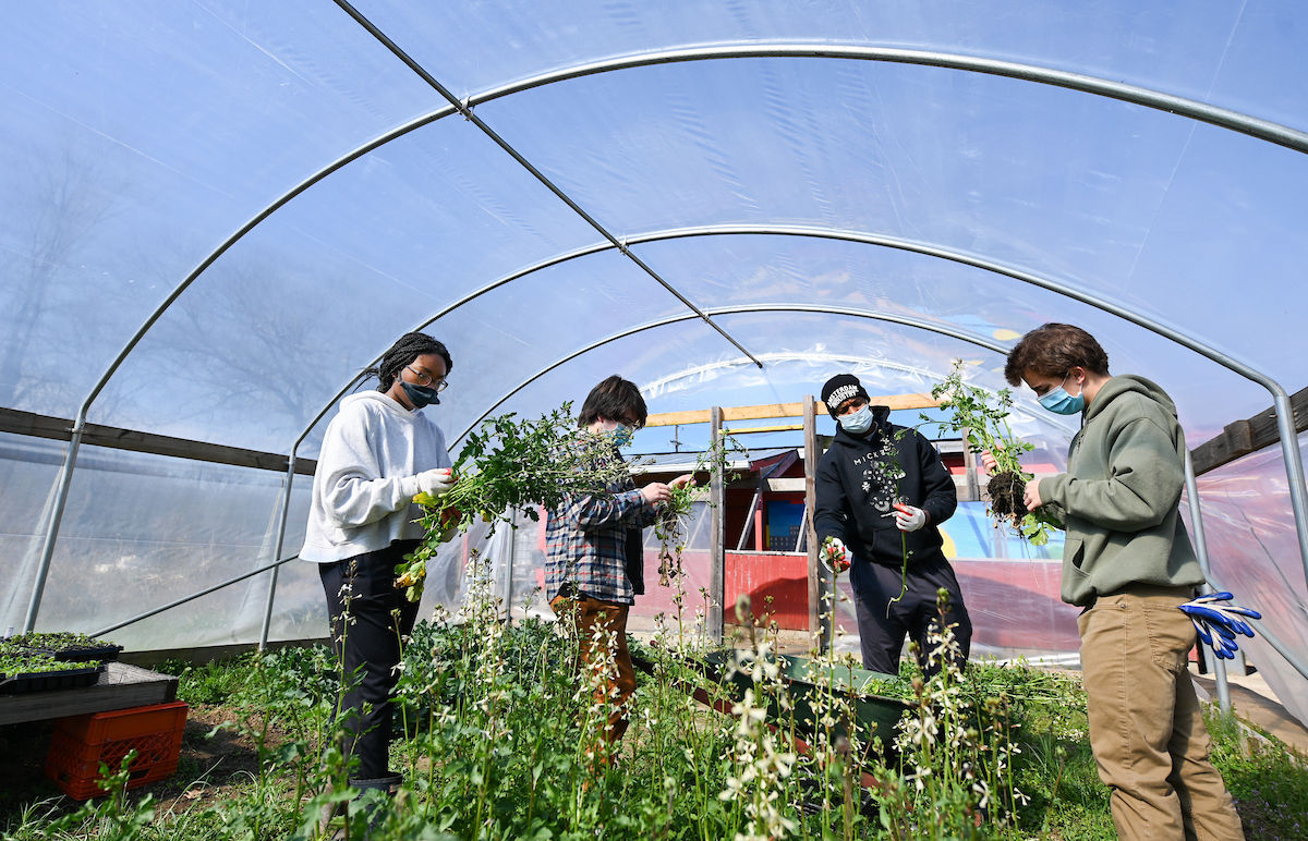 Students in Lecturer Lucy Schultz's "Benefits of Urban Farming" philosophy class work at the Grow Hope Farm, a community garden maintained by Hope for the Inner City.