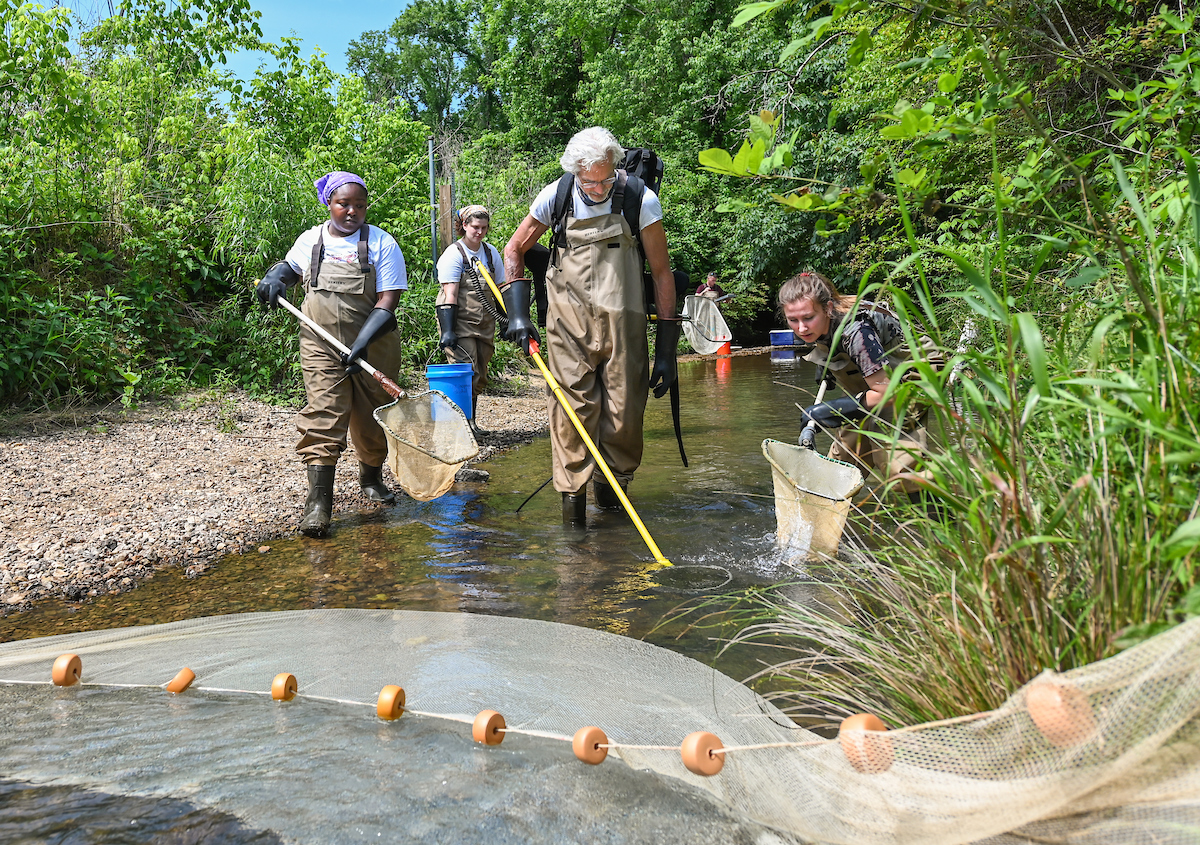 Kendra Keller, from left, Sierra Beatty, Professor Mark Schorr, Jacob Hart and Jasmin Hold stride through a stream in May as part of project to gather data on the health of streams in Hamilton County.