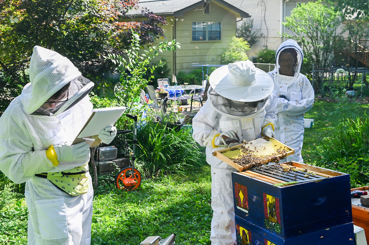 Graduate student Caitlin Jarvis, center, gathers information from her beehive as student Joshua Crow, left, and Assistant Professor DeAnna Beasley, right, look on at Jarvis' Hixson home.