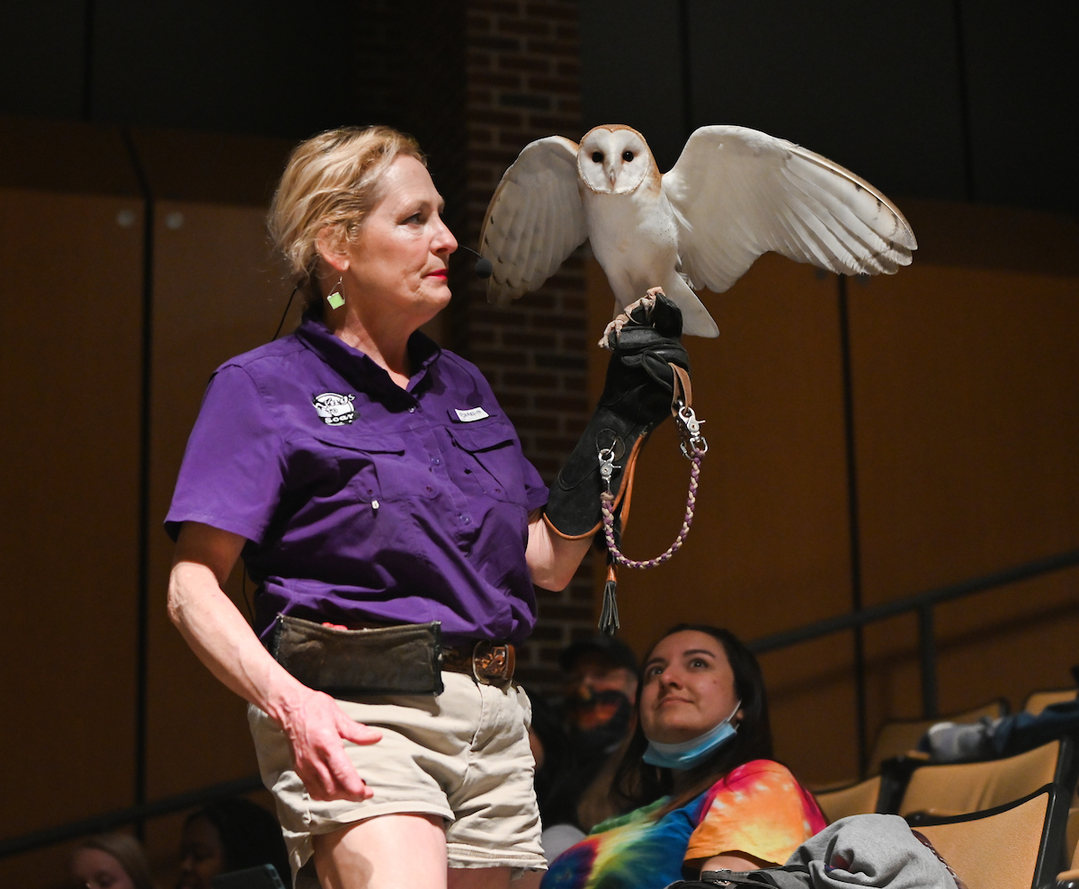 Bob the barn owl.