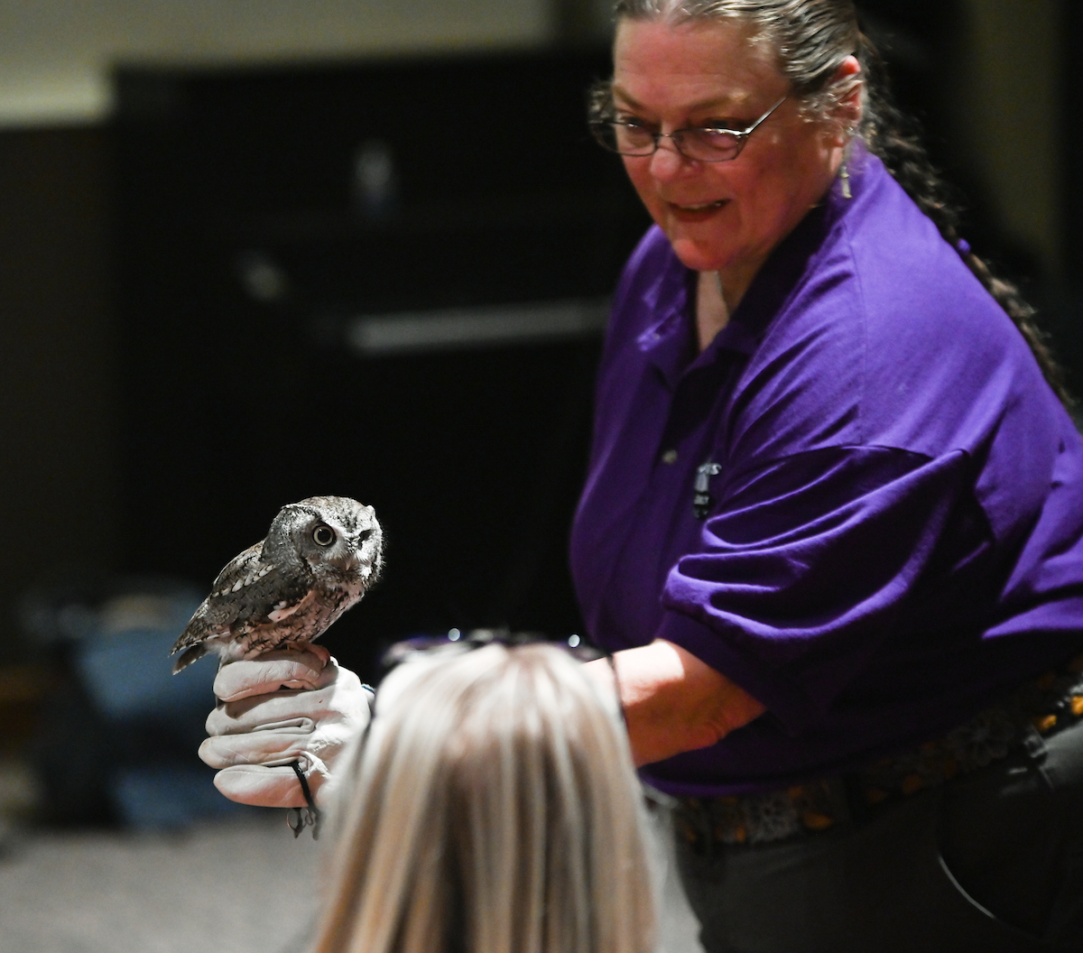 Buddy the screech owl.