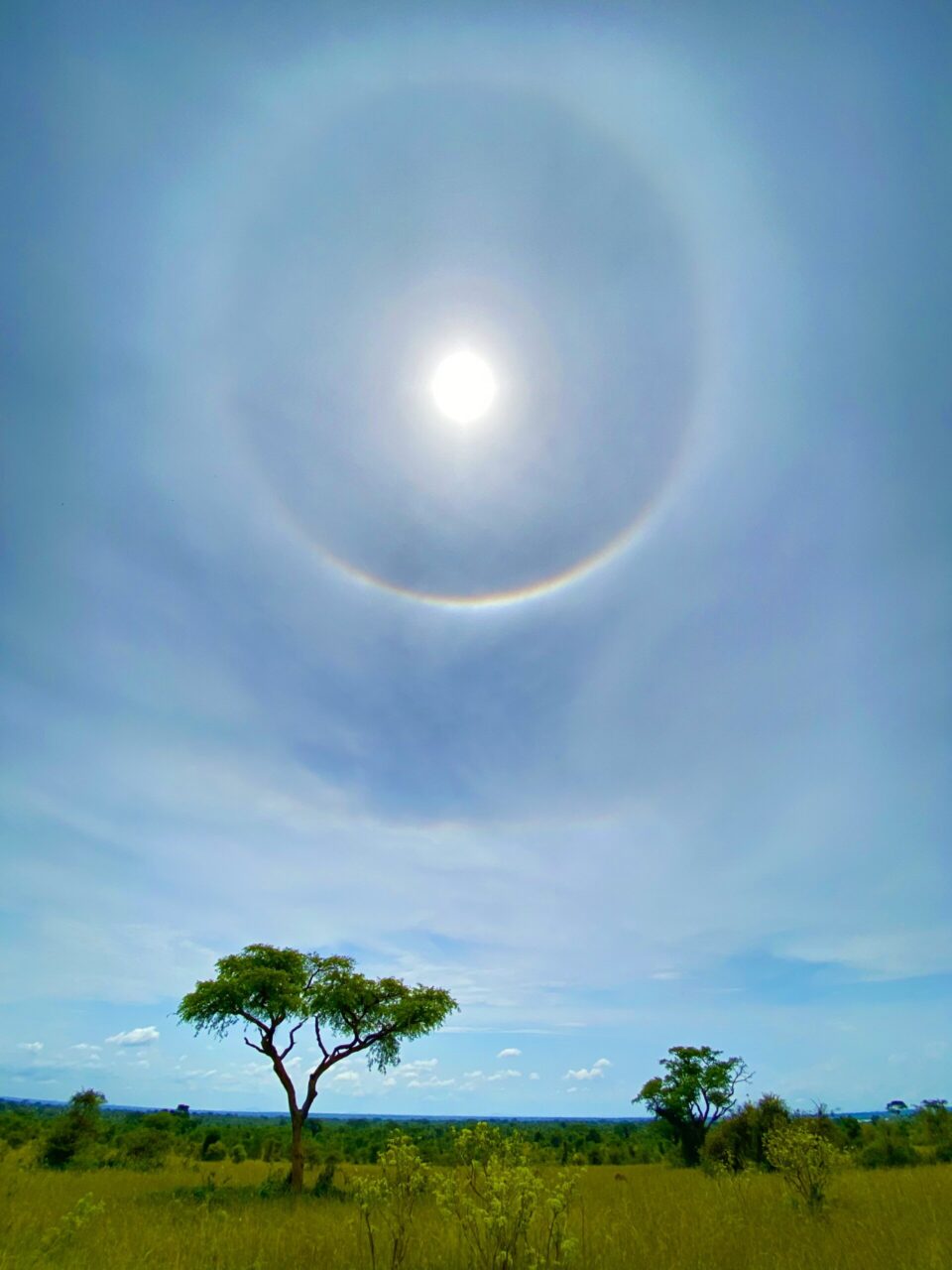 Murchison Falls