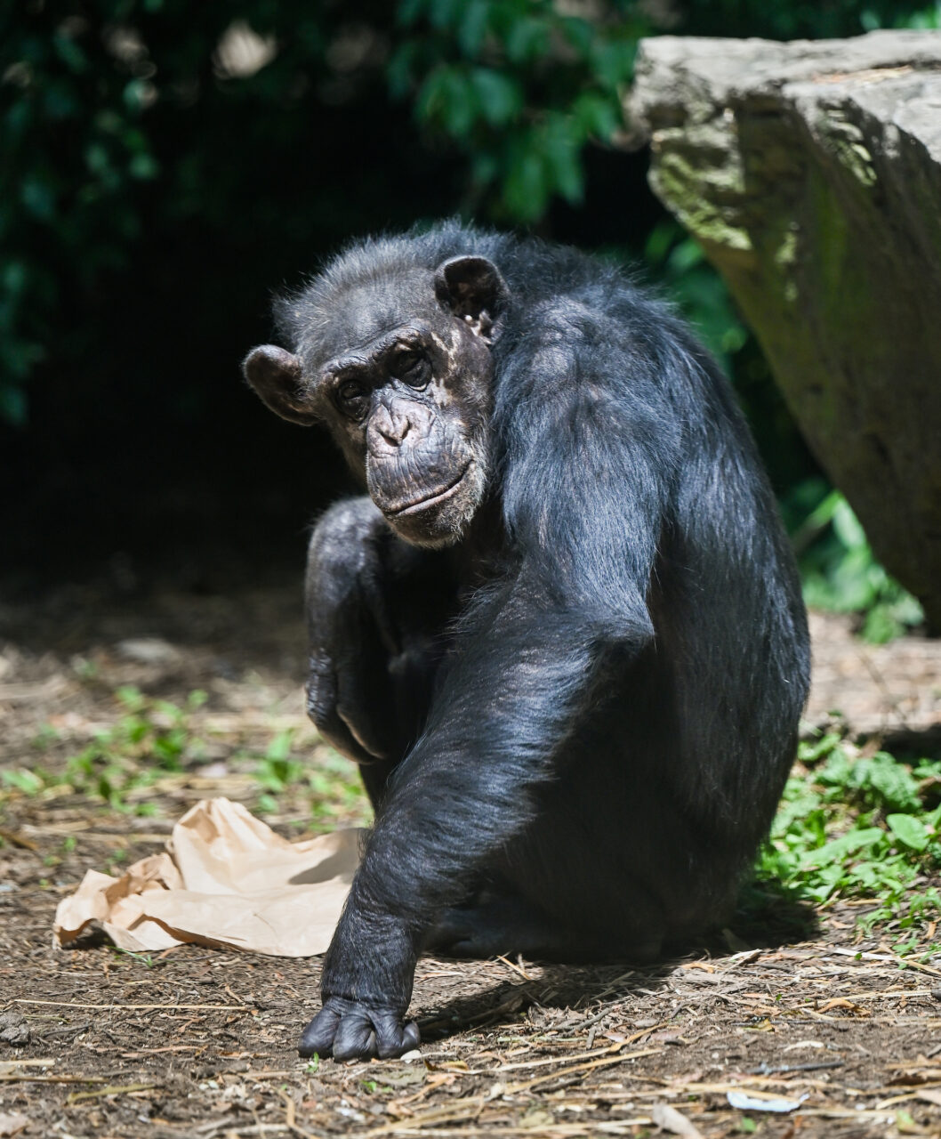 Chattanooga Zoo, Friday, May 13, 2022.