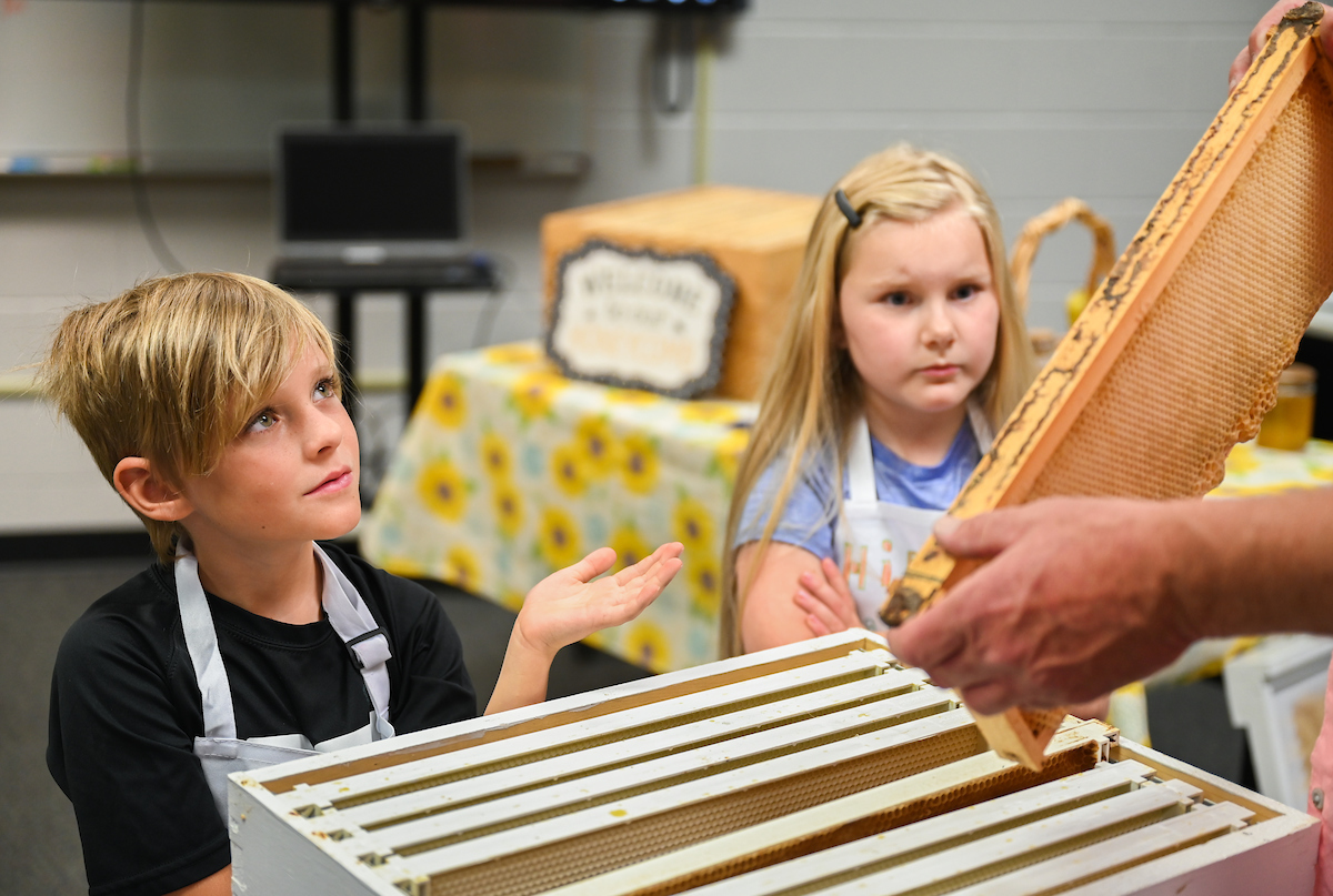Looking at a honeycomb from a bee hive