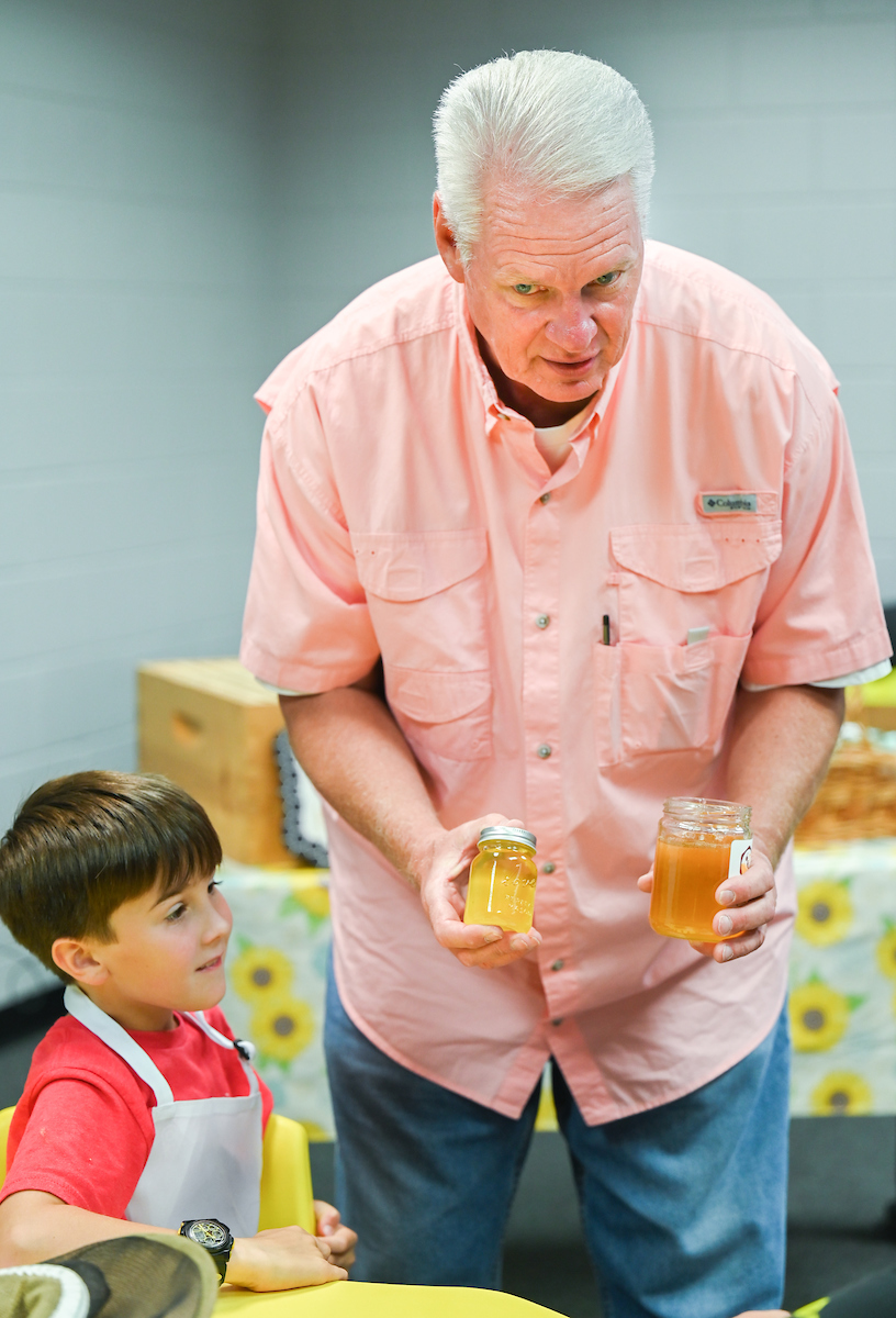 Learning about bees and honey
