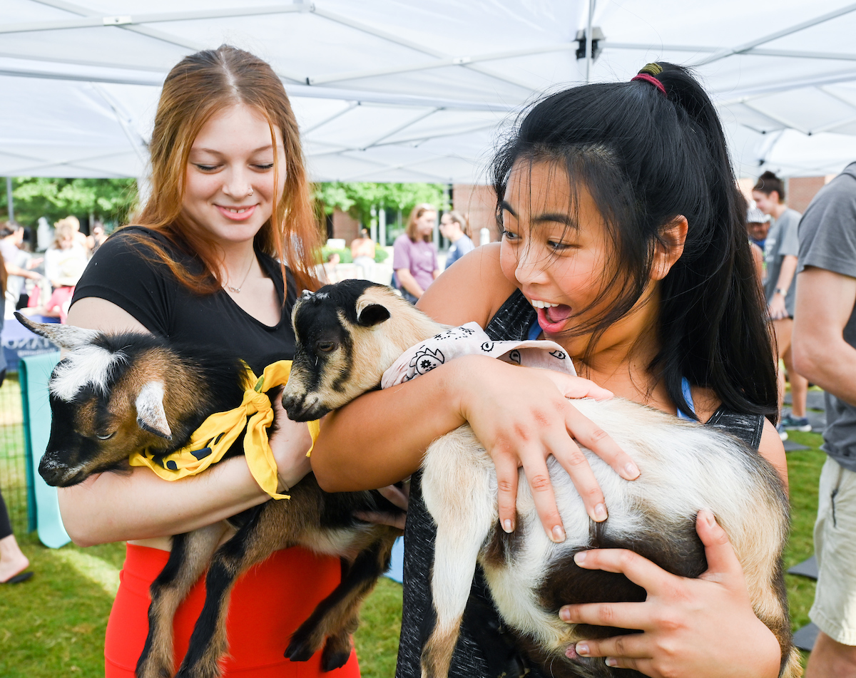 Goat Yoga-22-