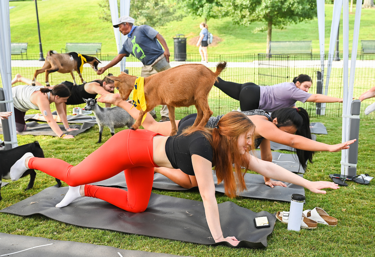 Goat Yoga-22-