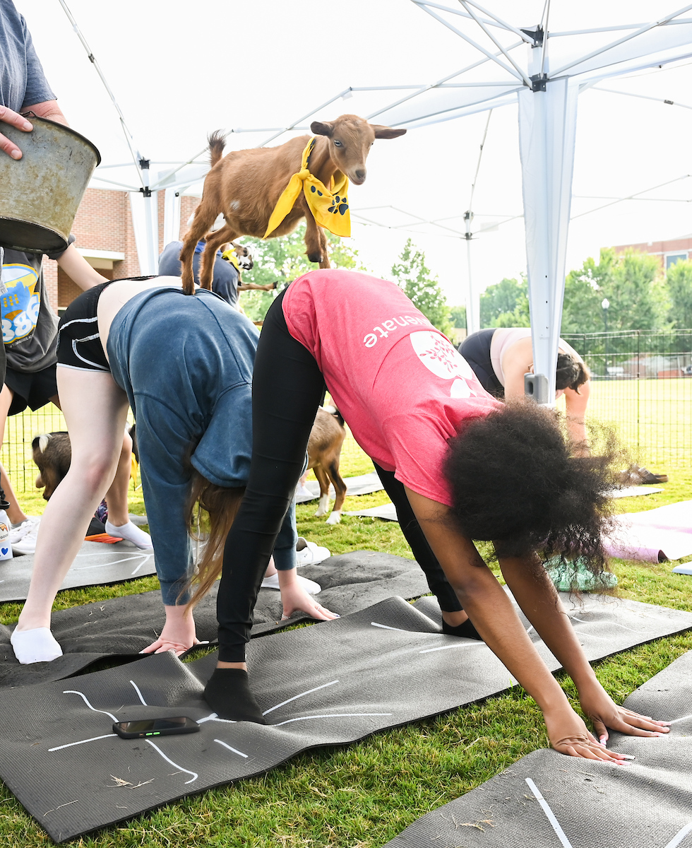Goat Yoga-22-