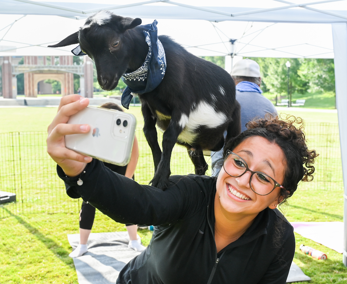 Goat Yoga-22-