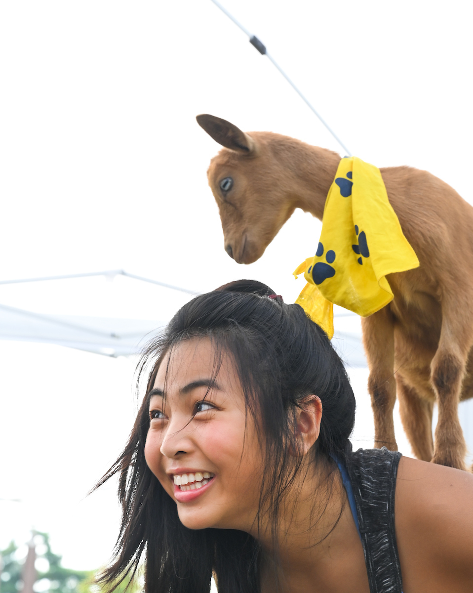 Goat Yoga-22-