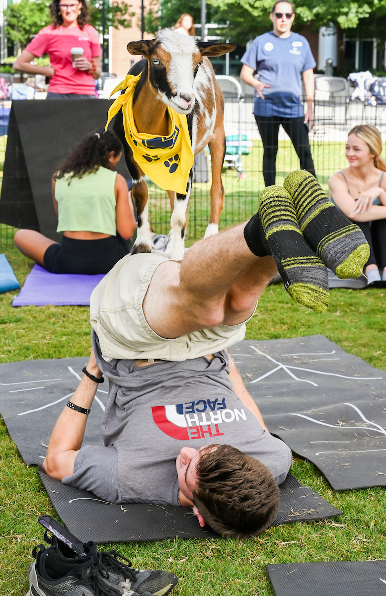 Goat Yoga-22-