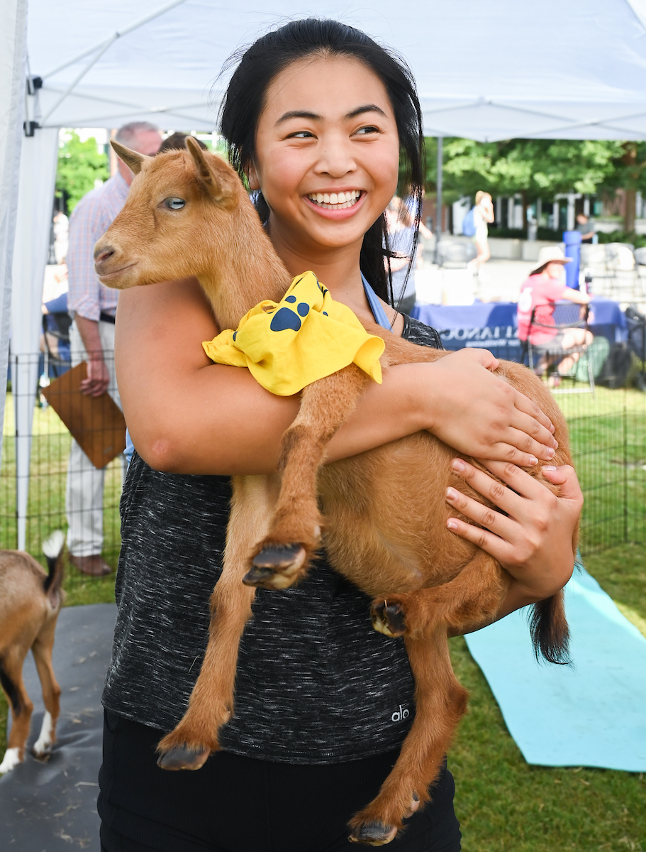 Goat Yoga-22-