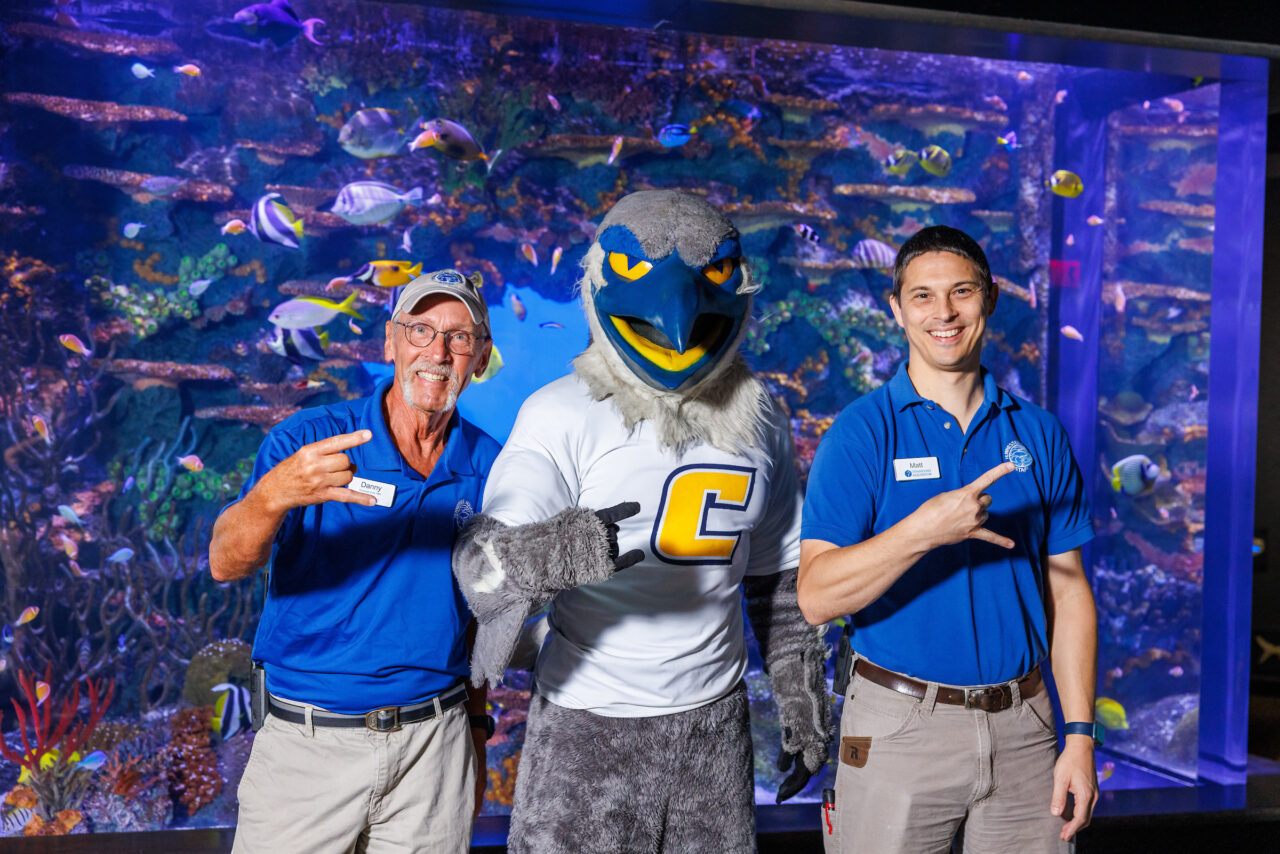 University of Tennessee at Chattanooga Alumni and Senior Aquarist Danny Alexander, left, and Curator of Fishes Matt Hamilton pose with mascot Scrappy in front of the Indo-Pacific Reef exhibit at the Tennessee Aquarium.