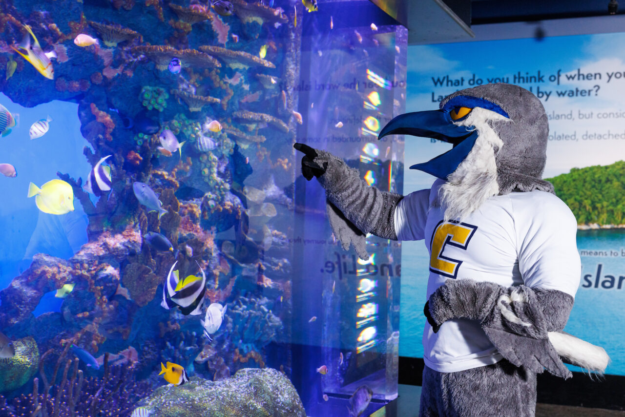 University of Tennessee at Chattanooga mascot Scrappy poses in front of the Indo-Pacific Reef exhibit at the Tennessee Aquarium.