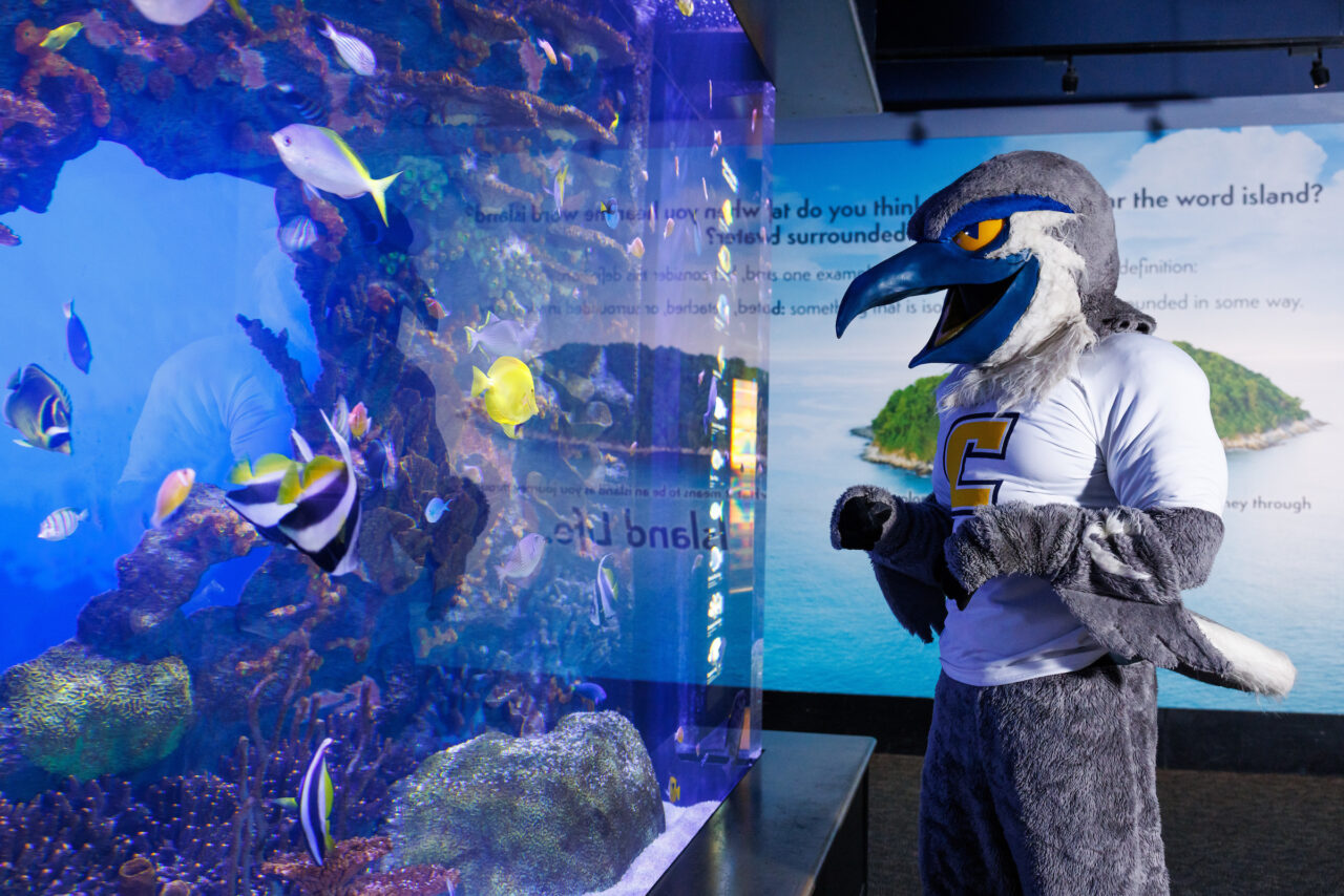 University of Tennessee at Chattanooga mascot Scrappy poses in front of the Indo-Pacific Reef exhibit at the Tennessee Aquarium.