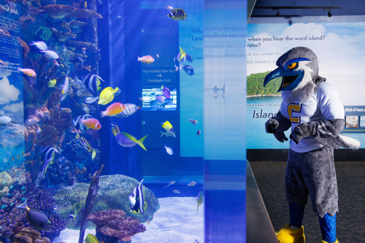 University of Tennessee at Chattanooga mascot Scrappy poses in front of the Indo-Pacific Reef exhibit at the Tennessee Aquarium.
