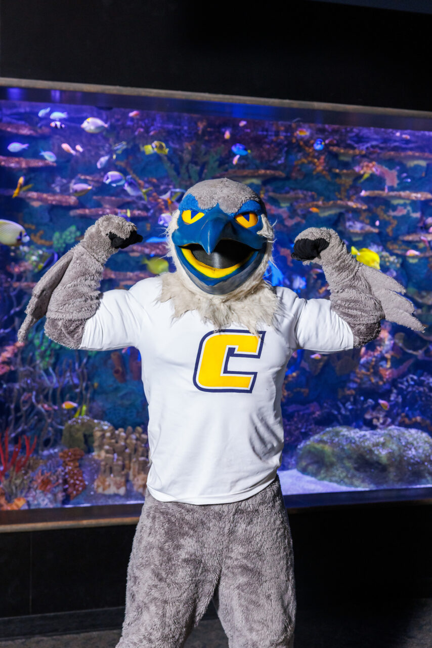 University of Tennessee at Chattanooga mascot Scrappy poses in front of the Indo-Pacific Reef exhibit at the Tennessee Aquarium.