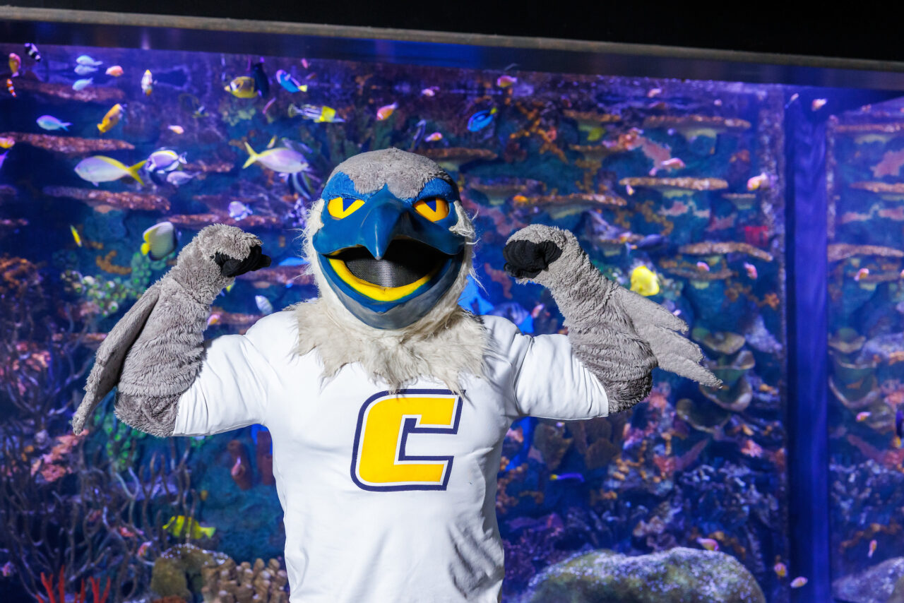 University of Tennessee at Chattanooga mascot Scrappy poses in front of the Indo-Pacific Reef exhibit at the Tennessee Aquarium.