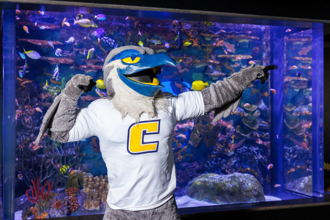 University of Tennessee at Chattanooga mascot Scrappy poses in front of the Indo-Pacific Reef exhibit at the Tennessee Aquarium.