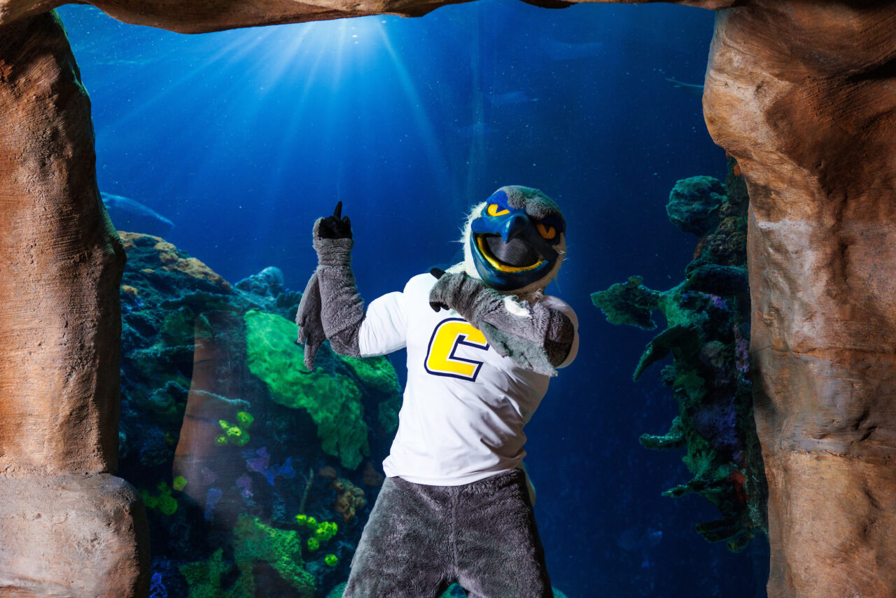 University of Tennessee at Chattanooga mascot Scrappy poses in front of the Secdret Reef exhibit at the Tennessee Aquarium.