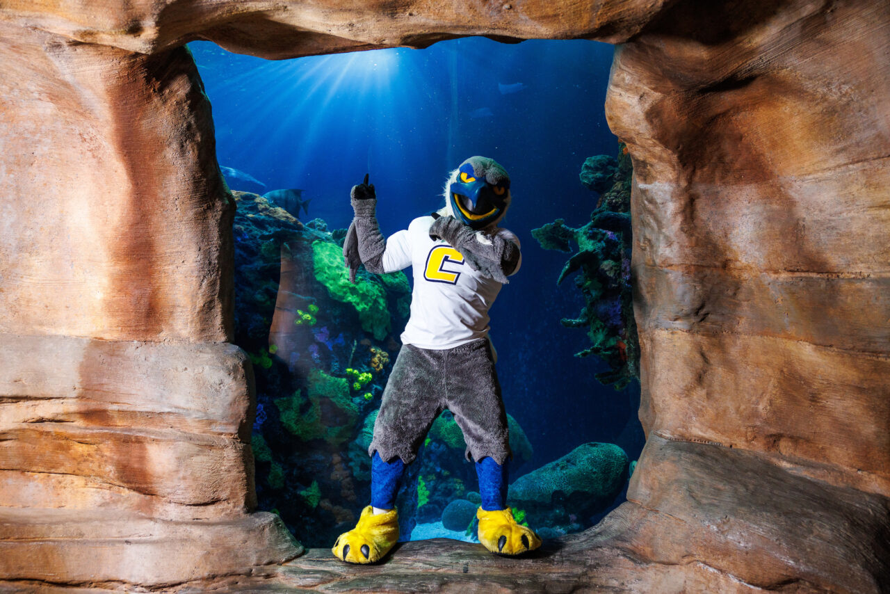 University of Tennessee at Chattanooga mascot Scrappy poses in front of the Secdret Reef exhibit at the Tennessee Aquarium.
