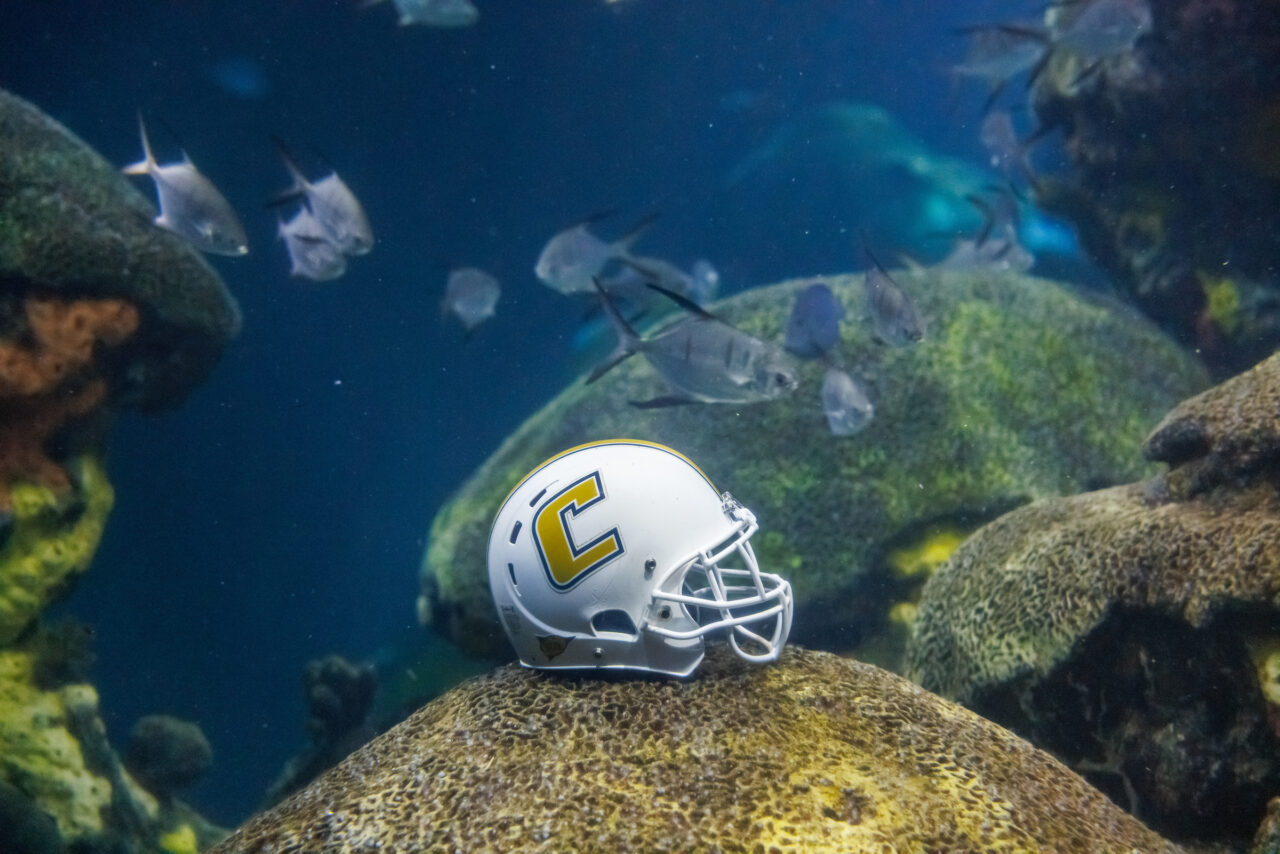 A University of Tennessee at Chattanooga football helmet in the Secret Reef at the Tennessee Aquarium.