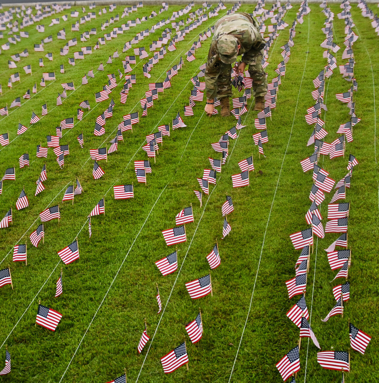 University of Tennessee at Chattanooga ROTC members place 2000 flags in front of Lane Funeral Home on Ashland Terrace, Wednesday, Sept. 7, 2022 in honor of 9/11.