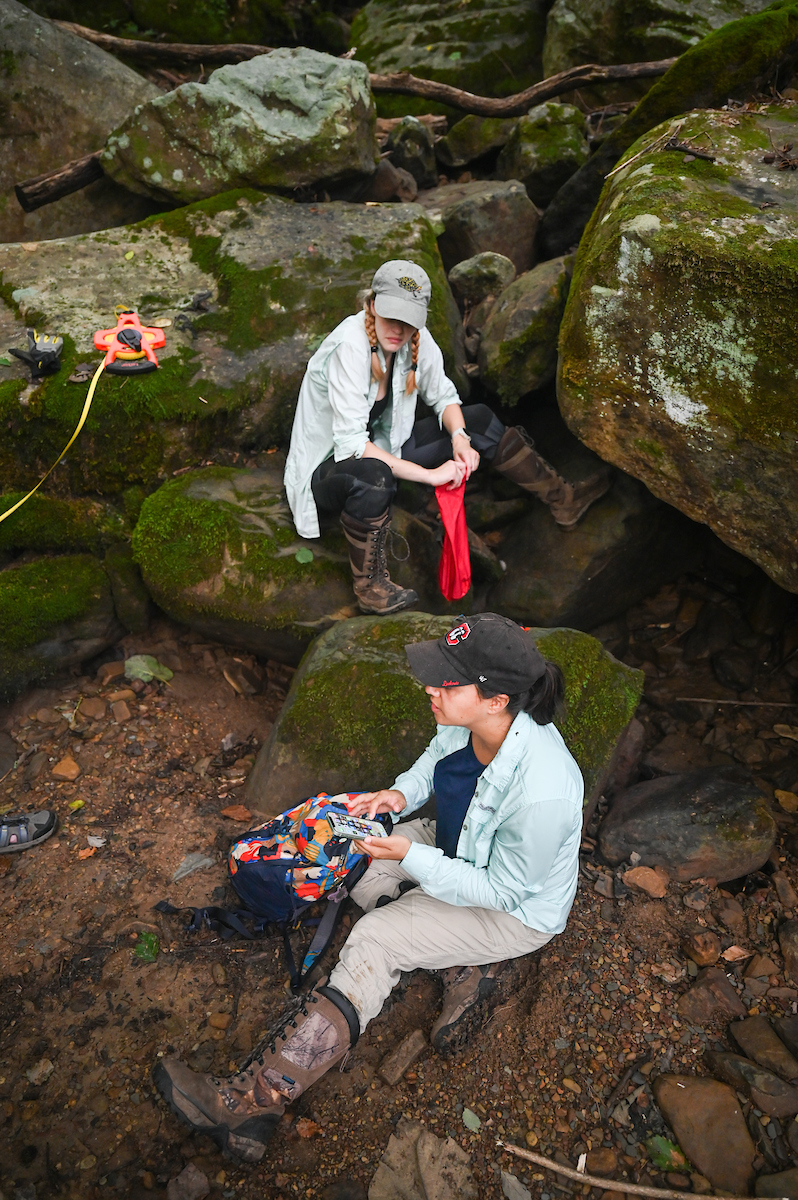 Erin Gaylord, top, and Nicole Cobb are looking for salamanders that live in damp places such as under rocks and rotting logs.