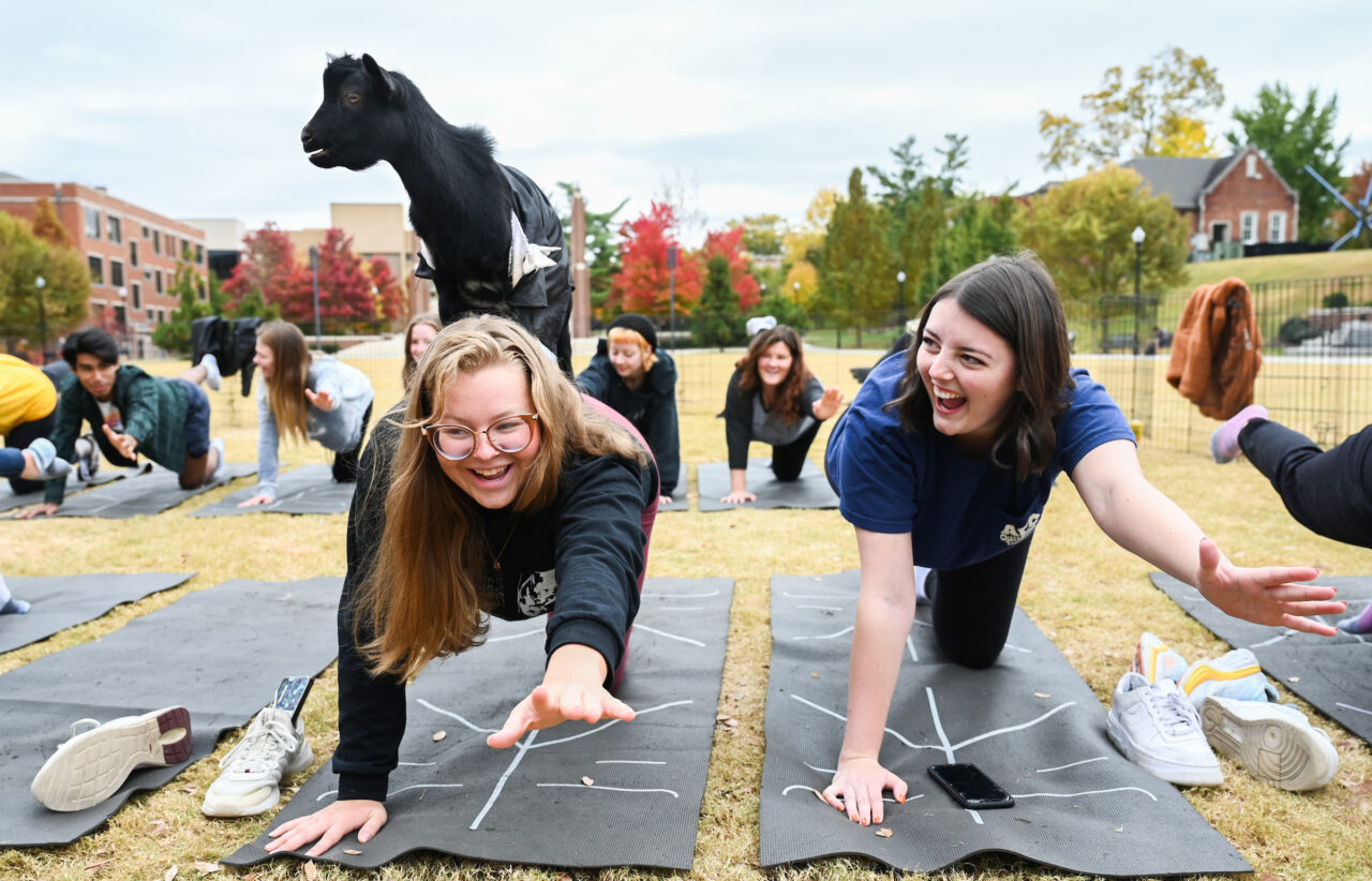 Halloween Goat Yoga class, Wednesday, Oct. 26, 2022 on Chamberlain Field.
