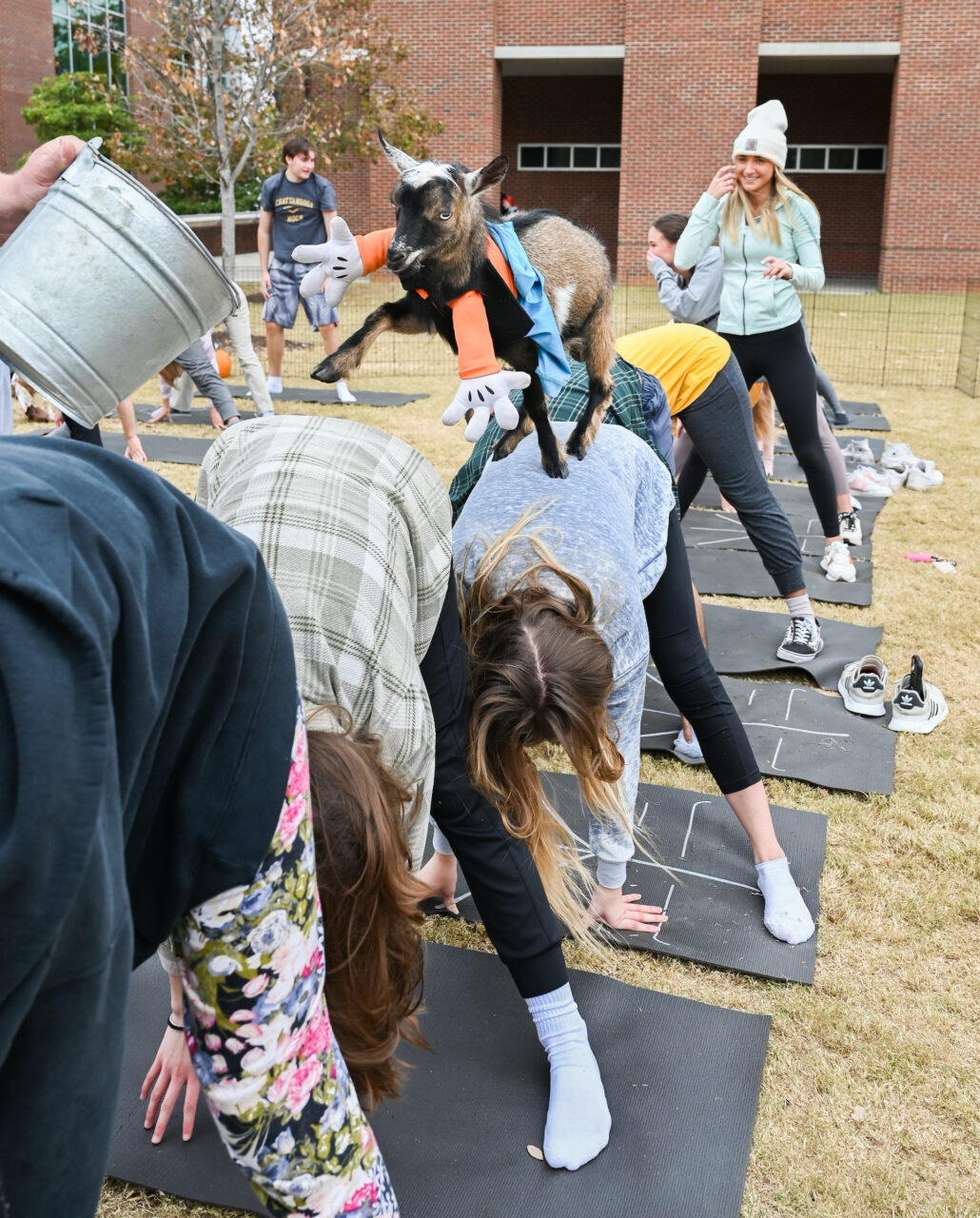 Halloween Goat Yoga class, Wednesday, Oct. 26, 2022 on Chamberlain Field.