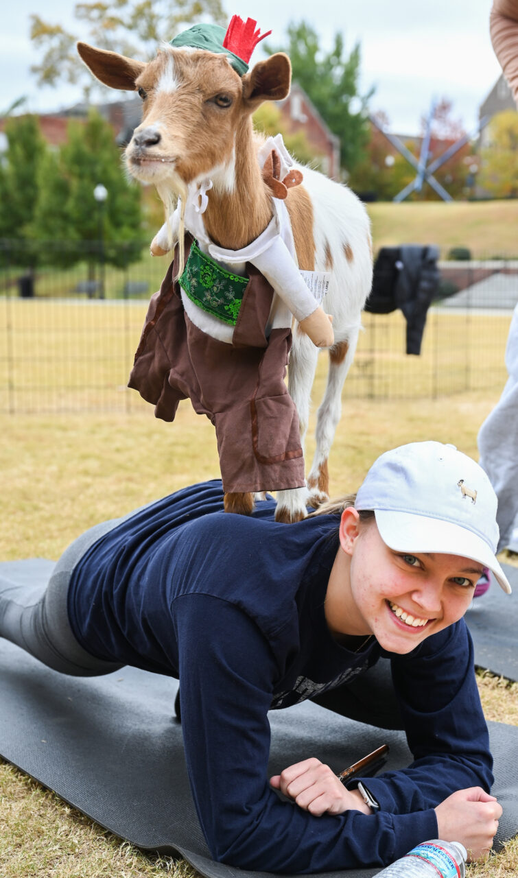 Halloween Goat Yoga class, Wednesday, Oct. 26, 2022 on Chamberlain Field.