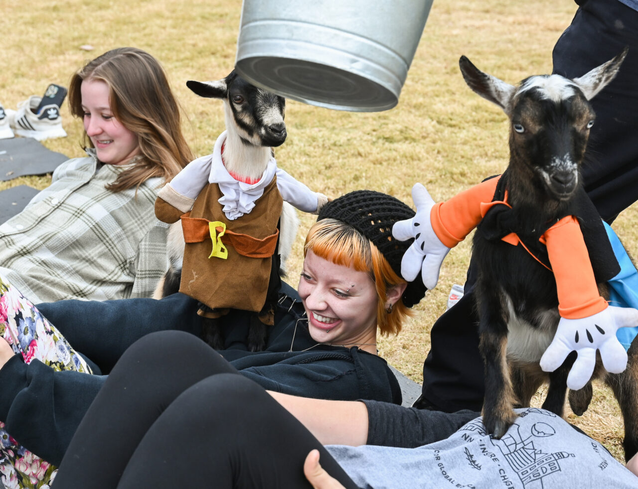 Halloween Goat Yoga class, Wednesday, Oct. 26, 2022 on Chamberlain Field.